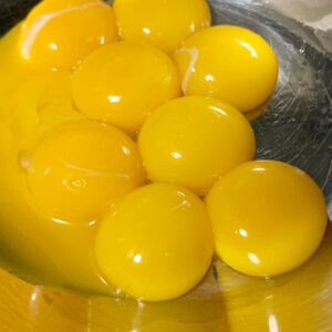 カスタードの卵黄