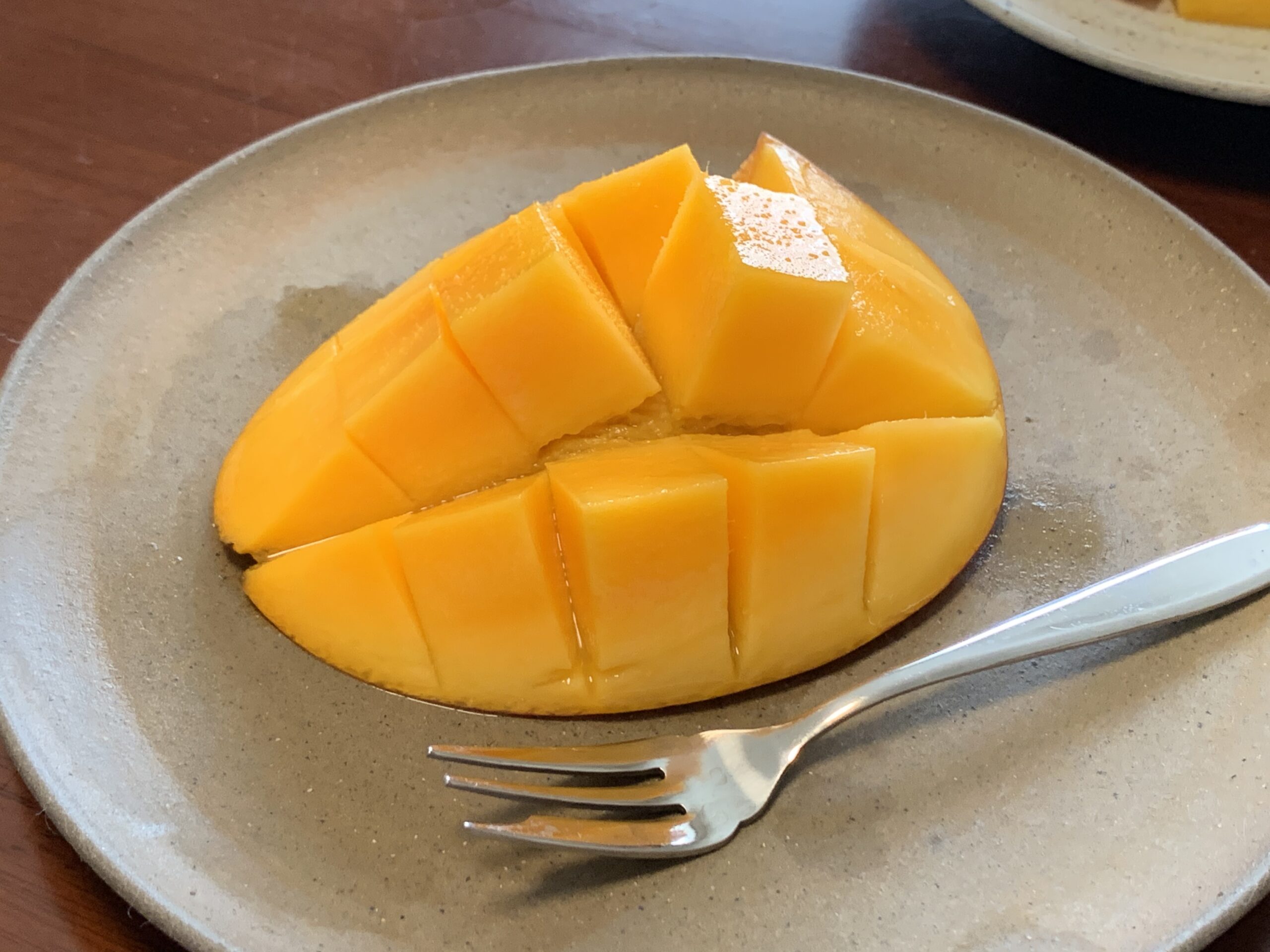 奄美大島の無肥料のマンゴー
